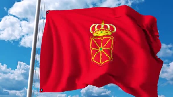 Flagge von Navarra, einer autonomen Gemeinschaft in Spanien — Stockvideo