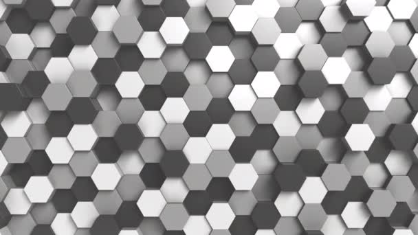 Abstrakter schwarz-weißer sechseckiger Bewegungshintergrund, nahtlose Schleife — Stockvideo