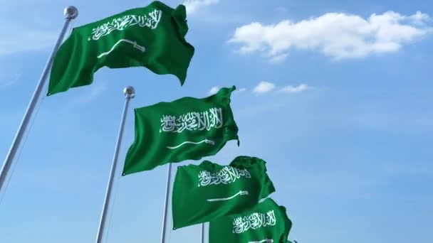 Beberapa mengibarkan bendera Arab Saudi melawan langit biru, lingkaran mulus — Stok Video