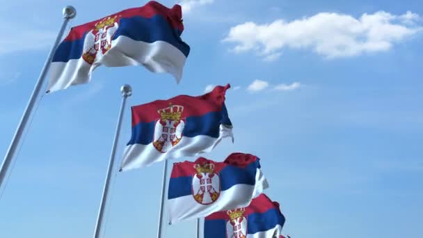 Несколько флагов Сербии против голубого неба, бесшовный цикл — стоковое видео