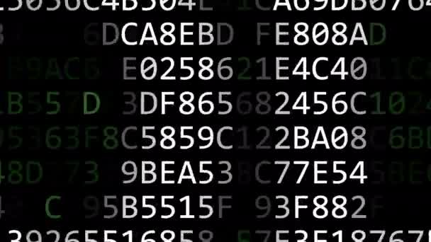 Aufschlussreiches Codewort aus blinkenden Hexadezimalsymbolen auf dem Computerbildschirm — Stockvideo