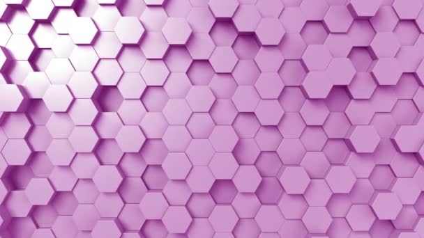 Fondo de movimiento hexagonal púrpura, lazo sin costuras — Vídeos de Stock