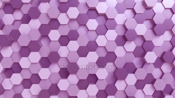 Lila hexagoner bakgrund — Stockvideo
