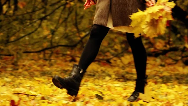 若い女性秋の公園で歩いていると、落ち葉の収集 — ストック写真