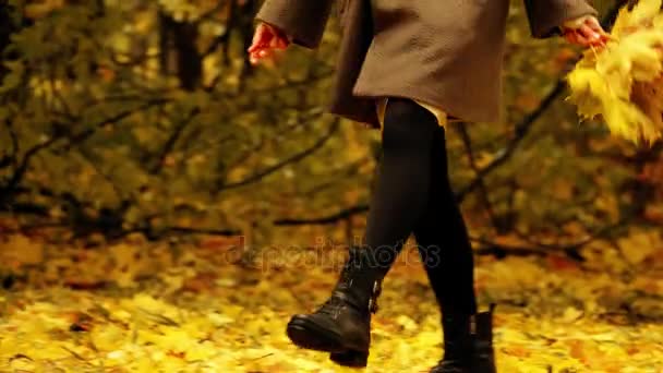Mujer joven caminando en el parque de otoño y recogiendo hojas caídas — Vídeo de stock