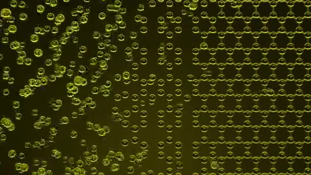 Sárga hatszögletű molekuláris szerkezetét alkotó — Stock videók