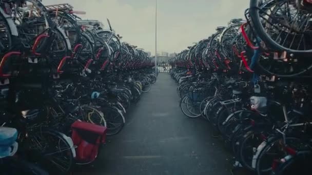 City cykel parkering i Amsterdam, Nederländerna — Stockvideo