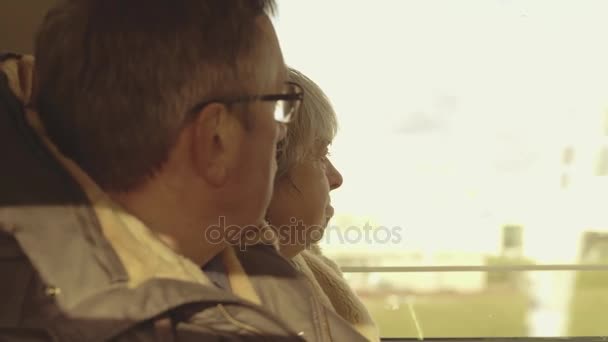 AMSTERDAM, PAÍSES BAJOS - 28 DE DICIEMBRE DE 2017. Pareja mayor viajando en tren — Vídeo de stock