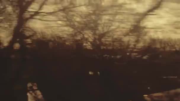 Leafless trees and lake on a winter sunny day as seen from fast moving train — Stock Video