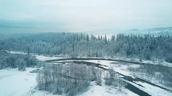 Widok z lotu ptaka zaśnieżony Las i rzeczka w zimie. Tatry, Polska — Zdjęcie stockowe