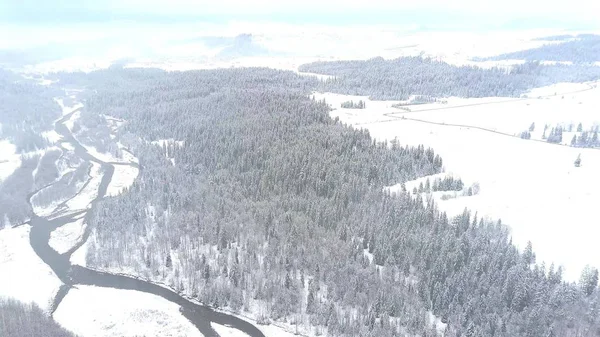 Lotnicze ujęcie śnieżnych zimowych krajobrazów w południowej Polsce, Tatry — Zdjęcie stockowe