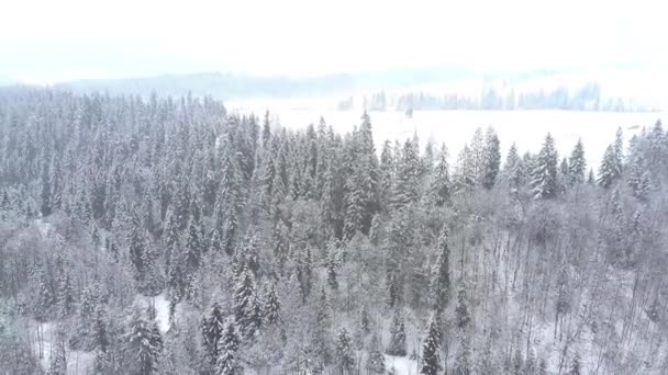 Καιρό εναέρια κλιπ από ένα χειμώνα χιονισμένο τοπίο της νότιας Πολωνίας, τα Όρη Τάτρα — Αρχείο Βίντεο