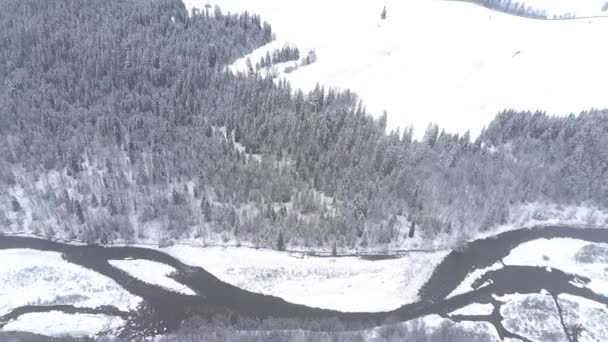Вид с воздуха на снежный лес, холм и небольшое течение в горах Татр, Польша — стоковое видео