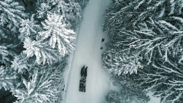 Aerial top-down vy av en häst åkt släde i skogen i fallande snö — Stockfoto