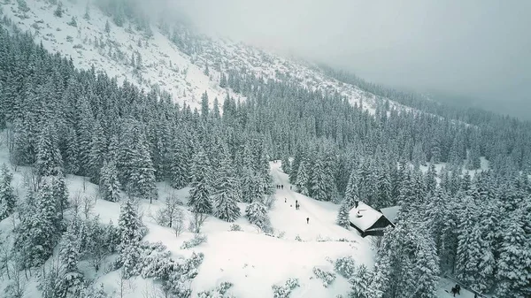 Flygfoto över personer vandring i vinter skog — Stockfoto