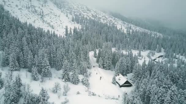 Luftaufnahme von Menschen, die im Winterwald wandern — Stockvideo