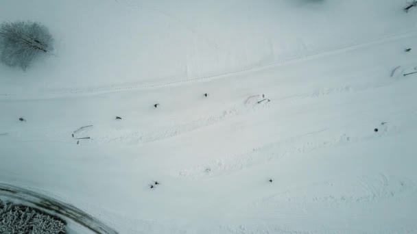 Luftaufnahme von oben nach unten von Skifahrern am Berghang — Stockvideo