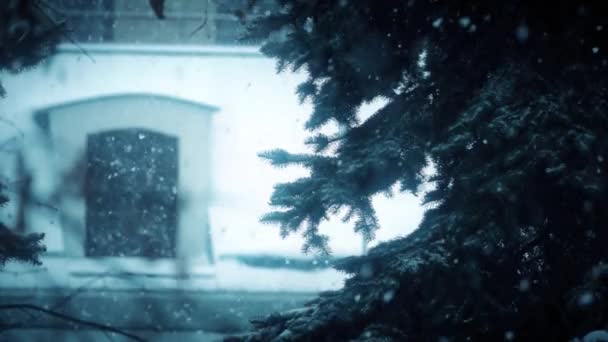 Christmas tree in heavy snowfall in winter, super slow motion shot — Stock Video