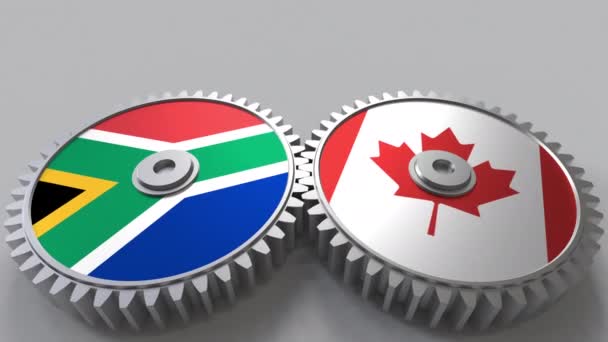 南非和加拿大在啮合齿轮上的旗帜。国际合作概念动画 — 图库视频影像