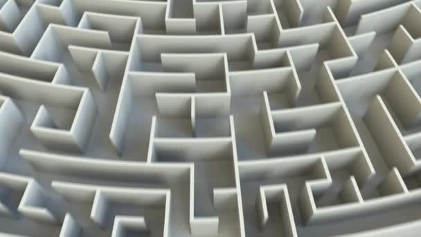 Strategi ord i mitten av en stor labyrint. Konceptuell 3d-animering — Stockvideo
