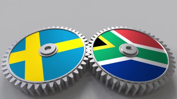 Zászlói Svédország és Dél-Afrika a kerítésfonatok fogaskerekek. Nemzetközi együttműködés fogalmi animáció — Stock videók