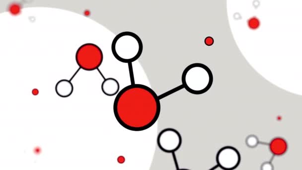 Minimalistisk röd och vit tecknad molekyl modeller — Stockvideo