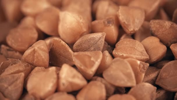 Pile di grano saraceno crudo super macro shot — Video Stock