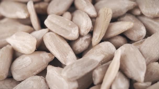 Dehulled raw sunflower seeds macro shot — Stock Video