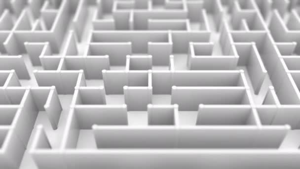 Um voo sem fim sobre um grande labirinto. Loopable animação 3D — Vídeo de Stock