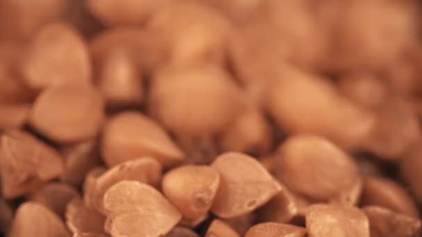 Versare grano saraceno crudo, macro shot — Video Stock