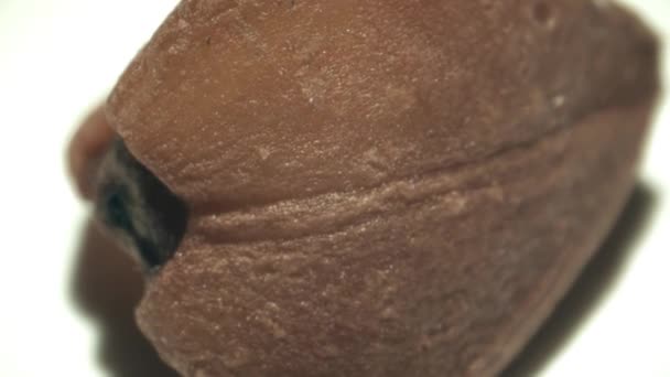 Single raw buckwheat seed, super macro shot — Stock Video