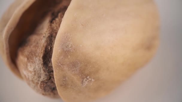 Semilla de pistacho simple con cáscara, macro shot — Vídeo de stock