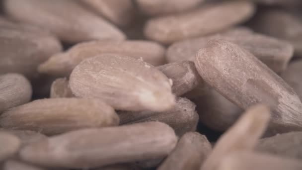 Pile of shelled raw sunflower seeds macro shot — Stock Video