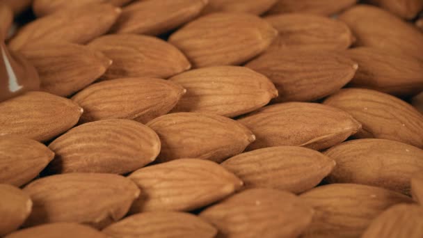 Cubriendo almendras crudas con chocolate derretido tiro en cámara lenta — Vídeo de stock