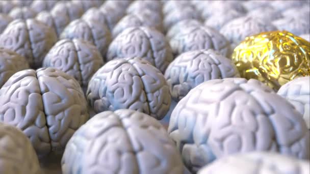 Cerebro hecho de oro entre los ordinarios. Genio, cerebro, talento o educación animación conceptual — Vídeo de stock