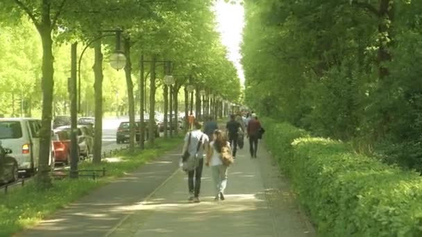 Pessoas irreconhecíveis caminham pela estrada no parque Tiergarten, em Berlim — Vídeo de Stock