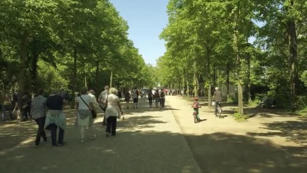 Berlin, Almanya - 30 Nisan 2018. Yürüyüş insanlar ve Tiergarten Parkı yol boyunca bisiklet sürmek — Stok video