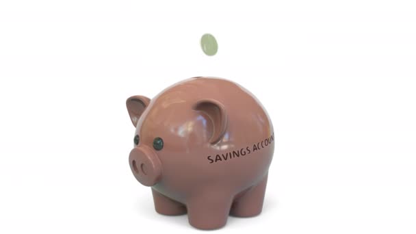 Dinheiro cair em banco porquinho com texto de conta de salvamento. Poupança relacionados animação 3D — Vídeo de Stock