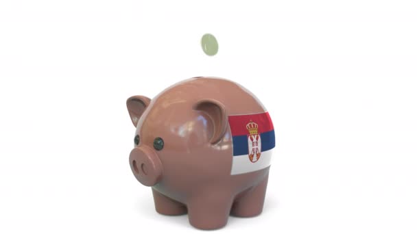 Putting money into piggy bank with flag of Serbia. Tax system system or savings related conceptual 3D animation — Stock Video