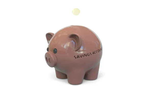 Dinheiro cair em banco porquinho com texto de conta de salvamento. Poupança relacionada com a renderização 3D — Fotografia de Stock