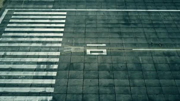 Aerial view of a landing airplane revealing flag of the Czech Republic on the airfield of an airport. Air travel related conceptual 3D animation — Stock Video