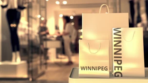 ぼやけた店の入り口に対するWinnipegテキスト付きのショッピングバッグ。カナダでのショッピング関連の3Dアニメーション — ストック動画