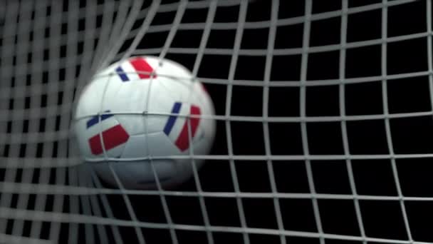 Μπάλα με σημαίες της Κόστα Ρίκα χτυπά γκολ. 3d κινούμενα σχέδια — Αρχείο Βίντεο