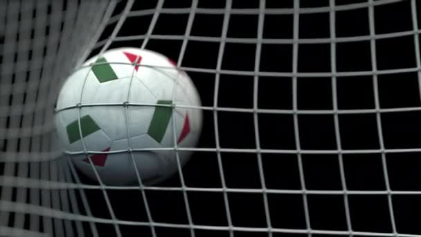 Bola con banderas de Hungría golpea el gol. Animación 3D — Vídeo de stock