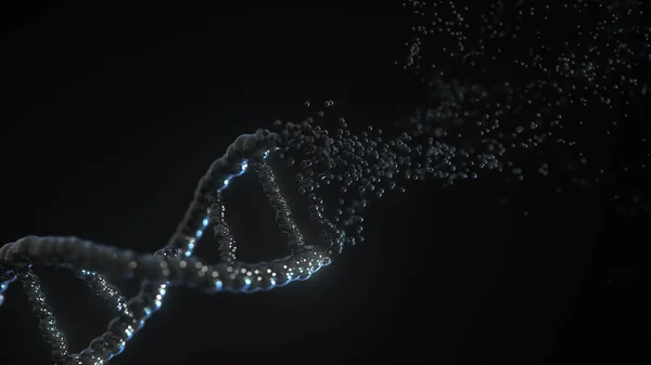 DNS molekulamodell összeállítása. Fogalmi 3D-s kiolvasztás — Stock Fotó