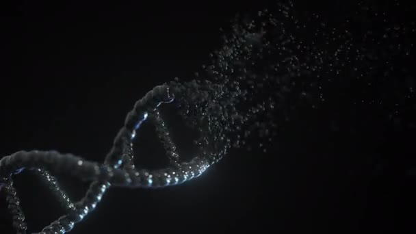 Samenstellend DNA molecuul model. Loopbare conceptuele 3D-animatie — Stockvideo