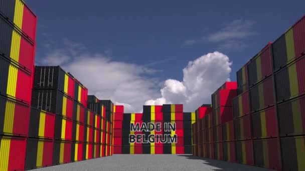 Many cargo containers with MADE IN BELGIUM text and national flags. Belgian import or export related 3D animation — ストック動画