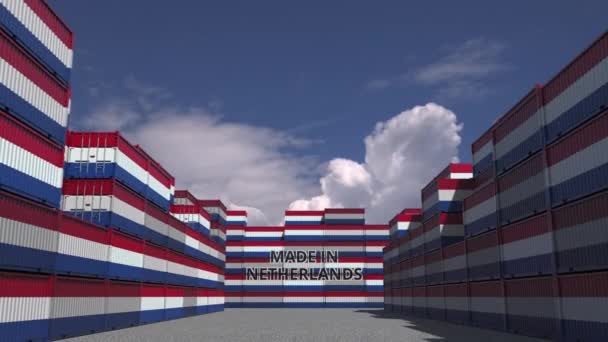 Containers with Made In Netherlands text and national flag Голландський імпорт або експорт пов'язані 3d анімації — стокове відео