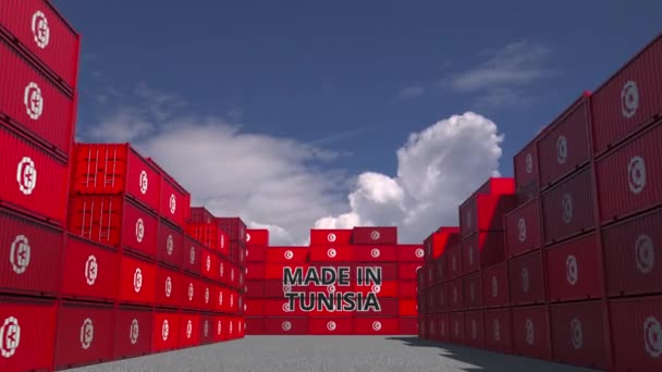 Containers with MADE IN TUNISIA text and national flags. Tunisian import or export related 3D animation — Stock Video