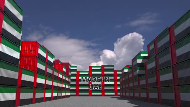 Recipientes de carga com texto MADE IN UAE e bandeiras nacionais. Animação 3D relacionada à importação ou exportação — Vídeo de Stock